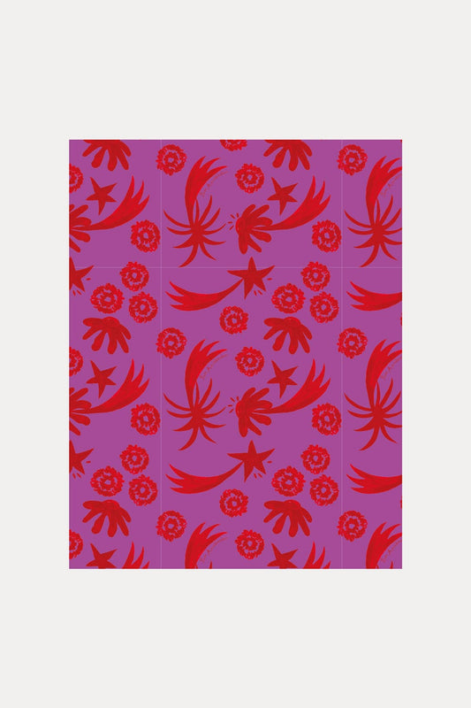 SCHAL - Splashing Fireworks